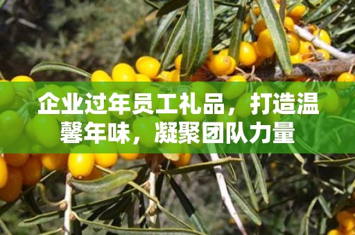 企业过年员工礼品，打造温馨年味，凝聚团队力量