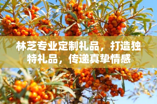 林芝专业定制礼品，打造独特礼品，传递真挚情感