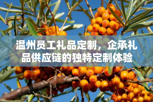 温州员工礼品定制，企承礼品供应链的独特定制体验